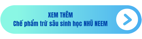 che-pham-tru-sau-sinh-hoc-nhu-neem