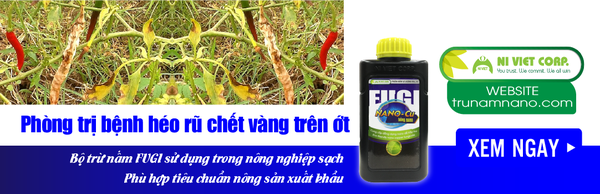 nano-dong-fugi-nano-cu-thuoc-phong-tri-benh-heo-vang-tren-cay-ot