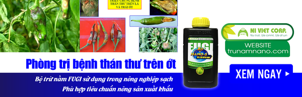 phong-tri-than-thu-tren-cay-ot-bang-thuoc-tru-nam-benh-an-toan-fugi-nano-luu-huynh