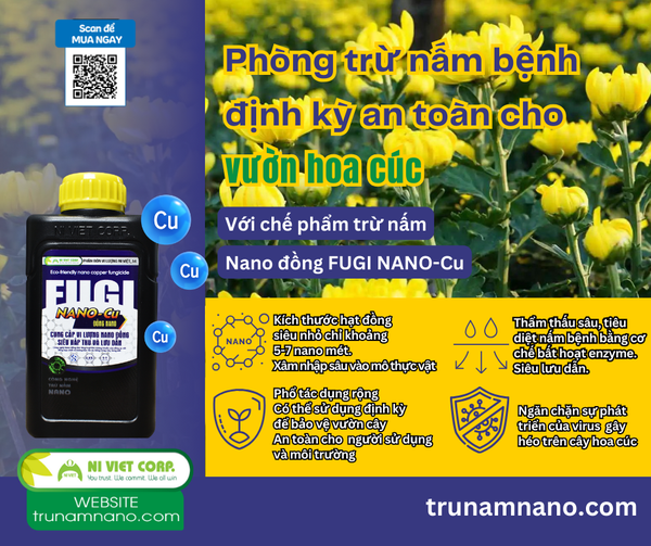 phong-tri-benh-dom-heo-ca-chua-tswv-tomato-spotted-wilt-virus-tren-hoa-cuc-voi-nano-dong-fugi-nano-cu 