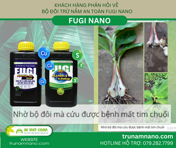 phong-tri-benh-hai-cay-chuoi-voi-bo-doi-tru-nam-an-toan-fugi-nano