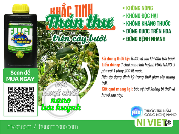 phong-tri-than-thu-hai-hoa-buoi-trai-buoi-bang-thuoc-tru-nam-benh-an-toan-nano-luu-huynh-FUGI-NANO-S