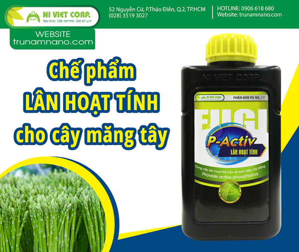 che-pham-lan-hoat-tinh-dinh-duong-cho-cay-mang-tay