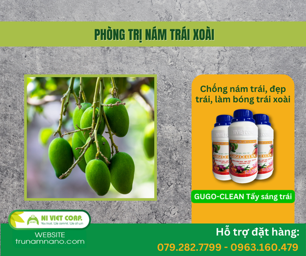 tay-sang-trai-xoai
