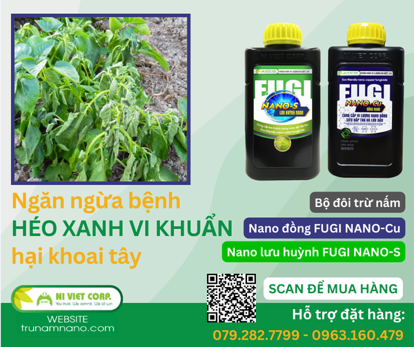 thuoc-phong-tri-benh-heo-xanh-vi-khuan-hai-khoai-tay