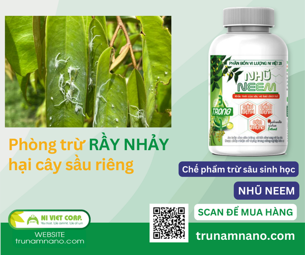 thuoc-tru-ray-nhay-hai-sau-rieng