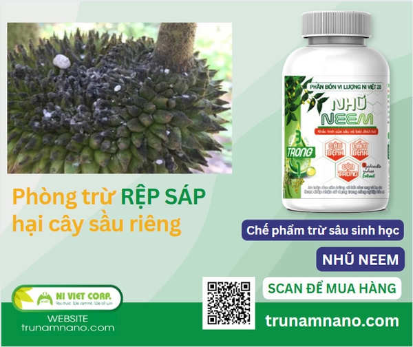 thuoc-tru-rep-sap-hai-sau-rieng