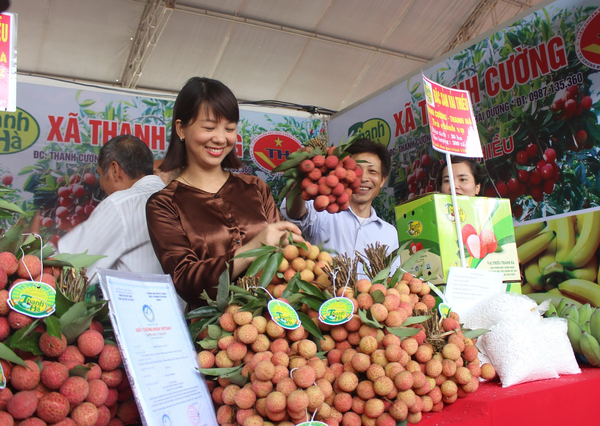 vai-thieu-xuat-khau-viet-nam