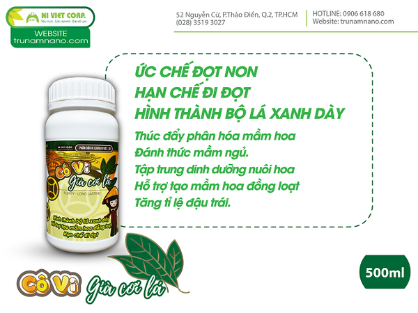 phan-bon-lam-bong-xoai