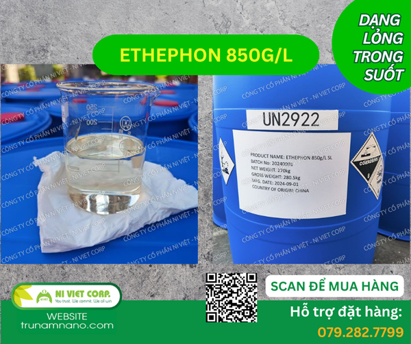 Ethephon 40%, 85% kích thích mủ cao su và làm chín trái cây