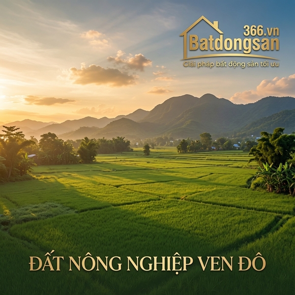 Đất Nông Nghiệp Ven Đô: Cơ Hội Sinh Lời Hay Bẫy Chôn Vốn?