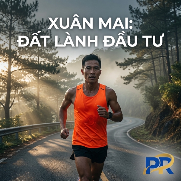 Xuân Mai Có Còn Là Vùng Giá Mềm Cho Nhà Đầu Tư Dài Hạn? Phân Tích To Toàn Diện và Chiến Lược Tích Lũy An Toàn