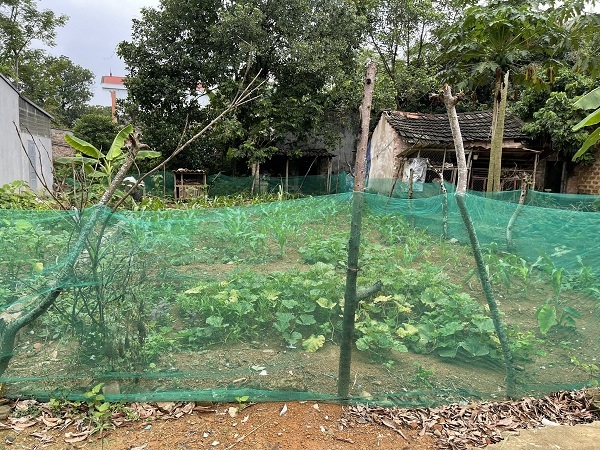 Đất nền sơn Tây
