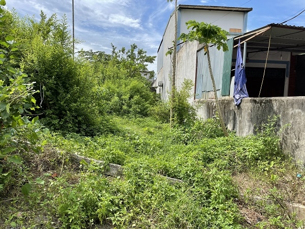 Đất nền sơn Tây