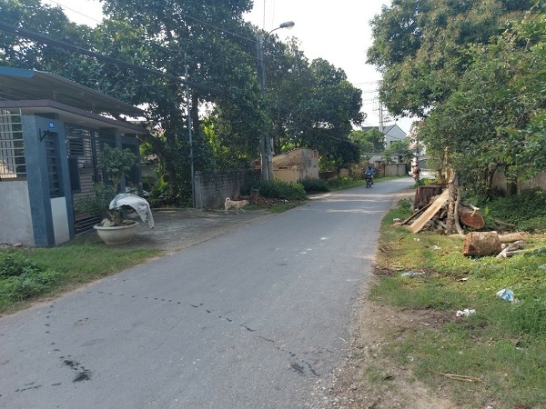 Đất nền sơn Tây