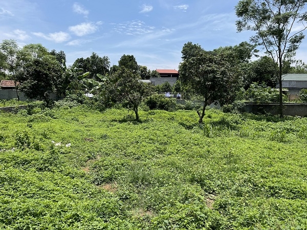 Đất nên Sơn Tây