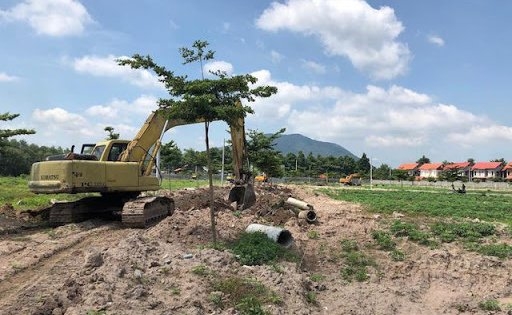 tiến mai dreamland
