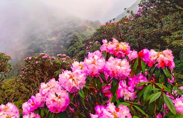 Tour Trekking Leo Núi Putaleng
