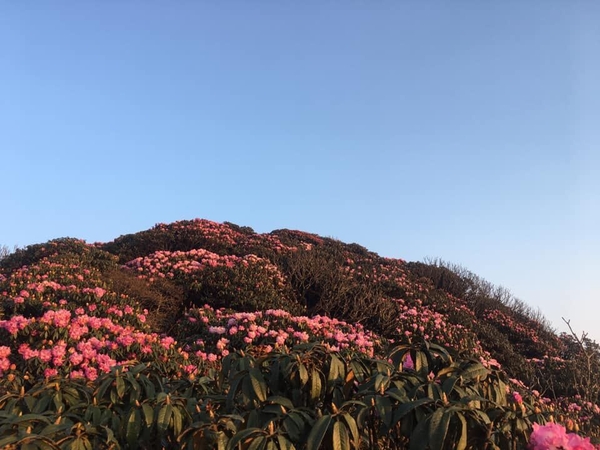 TOUR TREKKING LEO NÚI PUTALENG (3 ngày 2 đêm)