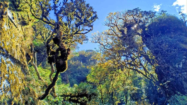 Tour Trekking Leo Núi Tả Liên Sơn