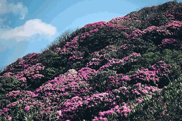 Tour Trekking Leo Núi Putaleng