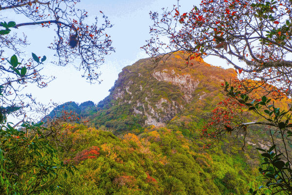 Tour Trekking Leo Núi Tả Liên Sơn