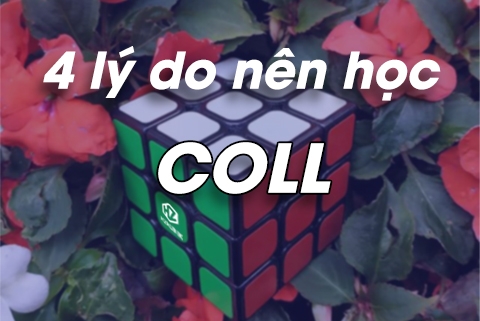 4 lý do mỗi Cuber nên học công thức COLL - H2 Rubik Shop