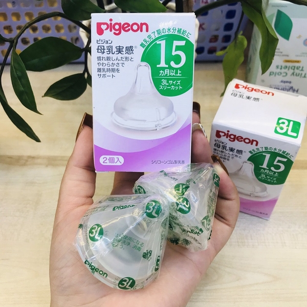 NÚM VÚ PIGEON SỐ 15 SIZE 3L