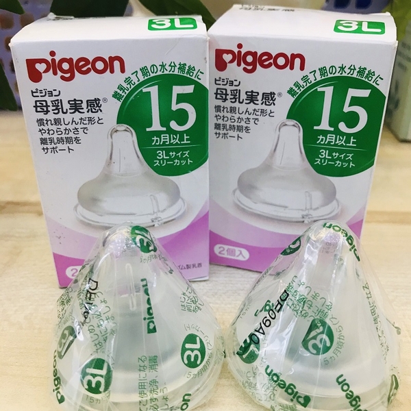 NÚM VÚ PIGEON SỐ 15 SIZE 3L