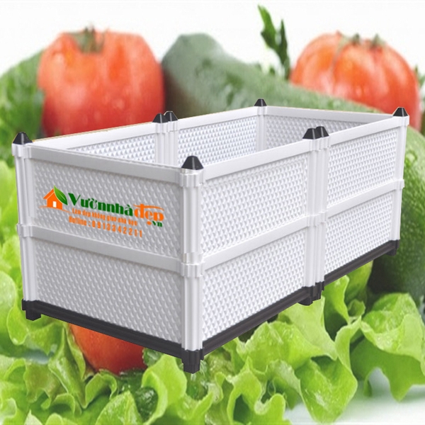 cháº­u trá»ng cÃ¢y láº¯p ghep