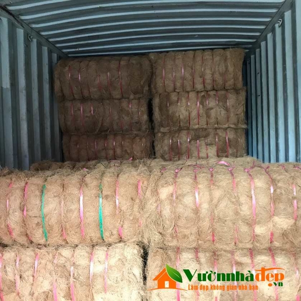 bán chỉ sơ dừa
