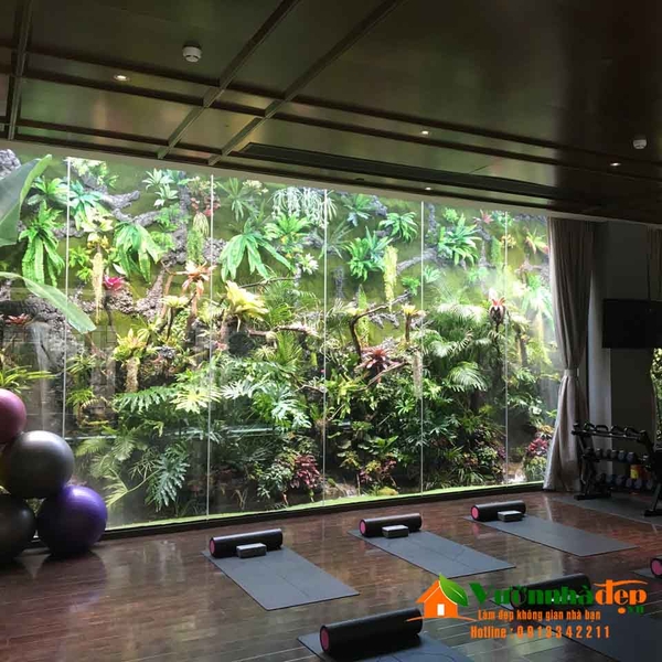 ho-ban-can-phong-gym