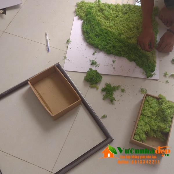 Hướng dẫn thi công tường rêu tuần lộc