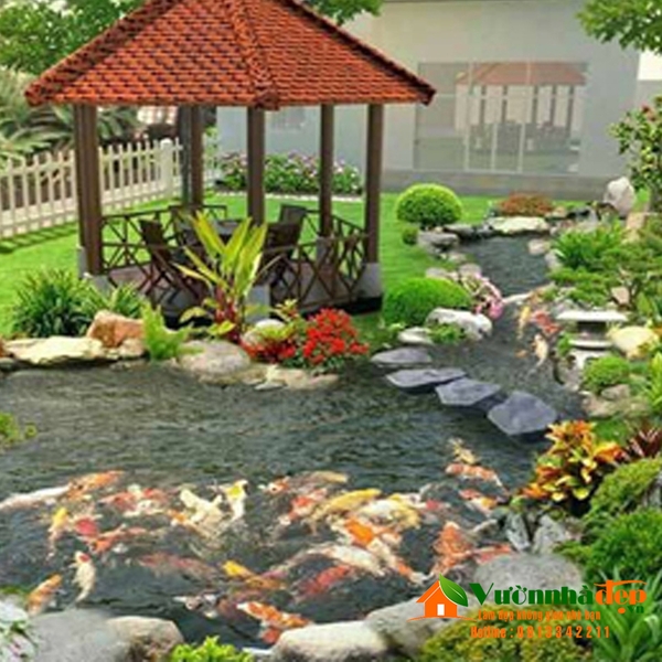 Mẫu thiết kế hồ cá koi