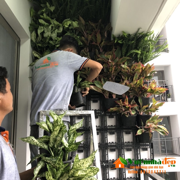 thi công tường cây chung cư