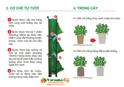 hop tuong cay kieu moi