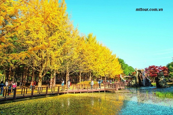 Tour Hàn Quốc tháng 9: Hà Nội - Seoul - Nami - EverLand 6 ngày 5 đêm