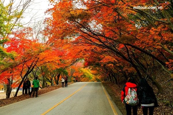 Tour Hàn Quốc: Hà Nội - Seoul - Nami - Everland - 5 ngày 4 đêm