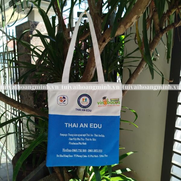 tui-canvas-thai-an-edu