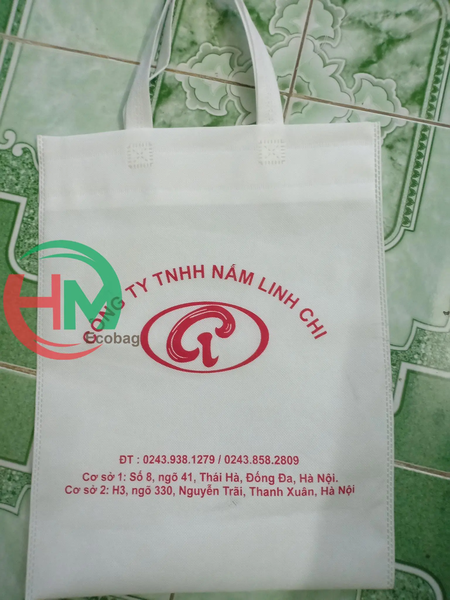 tui-vai-khong-det-in-logo-cong-ty-tnhh-nam-linh-chi-giai-phap-bao-bi-quang-ba-hi
