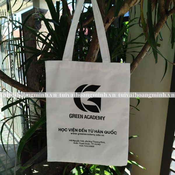 tui-vai-canvas-green-academi