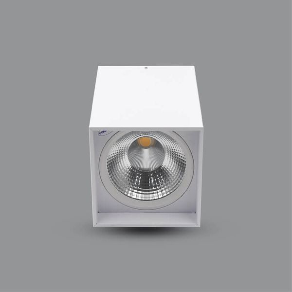 PSDLL170L20 - ĐÈN LED DOWNLIGHT 20W GẮN NỔI