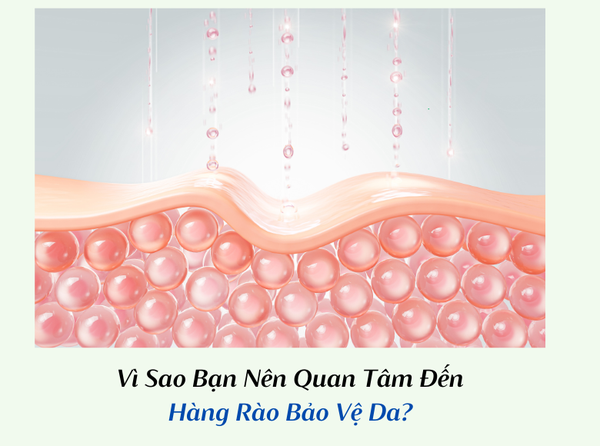Hàng rào bảo vệ da và 2 nguyên nhân hàng đầu gây suy yếu 1 Hàng rào bảo vệ da