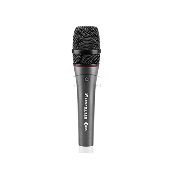 Micro Sennheiser E865-S