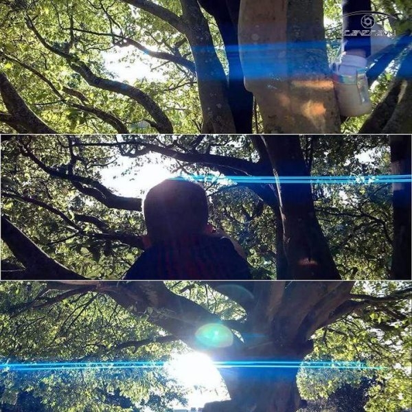 Ống kính Ulanzi 1.33X Anamorphic 17mm cho điện thoại