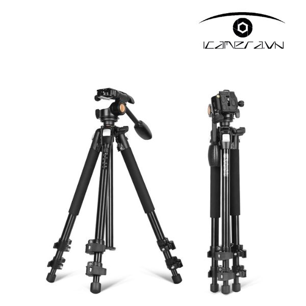 Chân máy ảnh Tripod Beike QZSD Q303