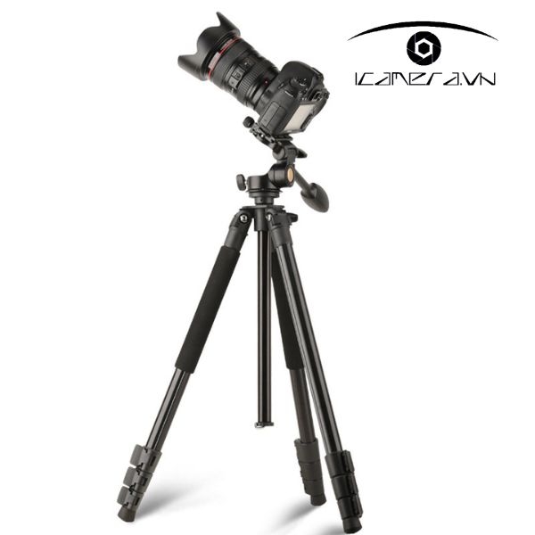 Chân máy ảnh Tripod Beike QZSD Q298L