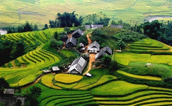 SAPA - MOANA - FANSIPAN- BẢN CÁT CÁT 2N2D 2024