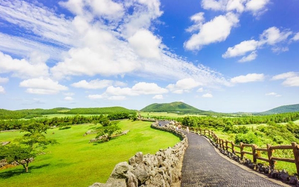 HÀN QUỐC - JEJU - DU LỊCH HÀN QUỐC MIỄN VISA