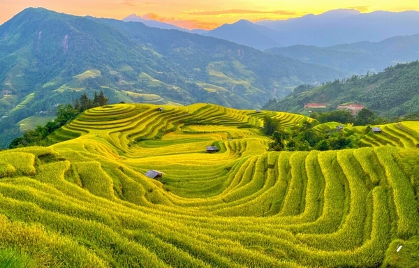 HÀ GIANG - CAO NGUYÊN ĐÁ ĐỒNG VĂN - DU GIÀ 3N4D 2024